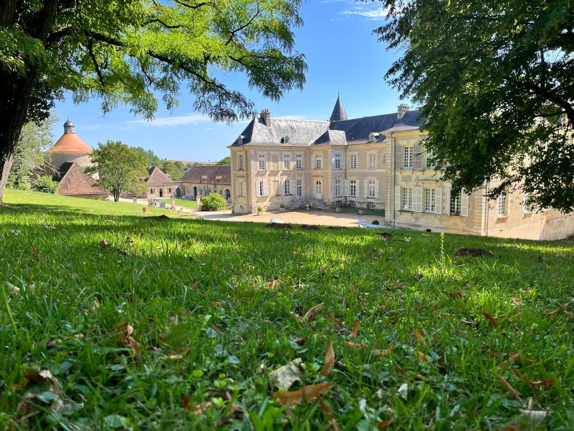 Chateau De Beaujeu Sens-Beaujeu Zewnętrze zdjęcie