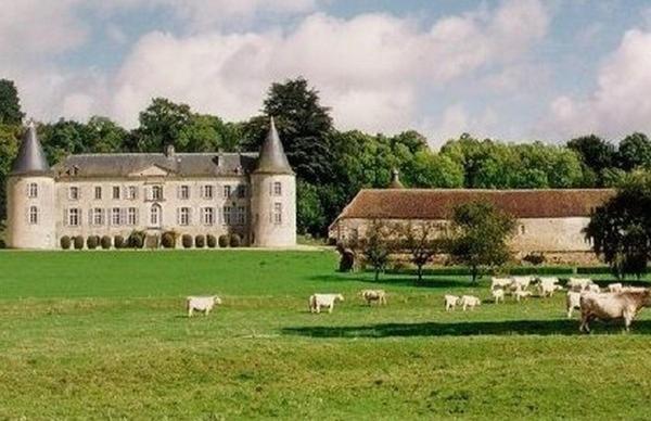 Chateau De Beaujeu Sens-Beaujeu Zewnętrze zdjęcie